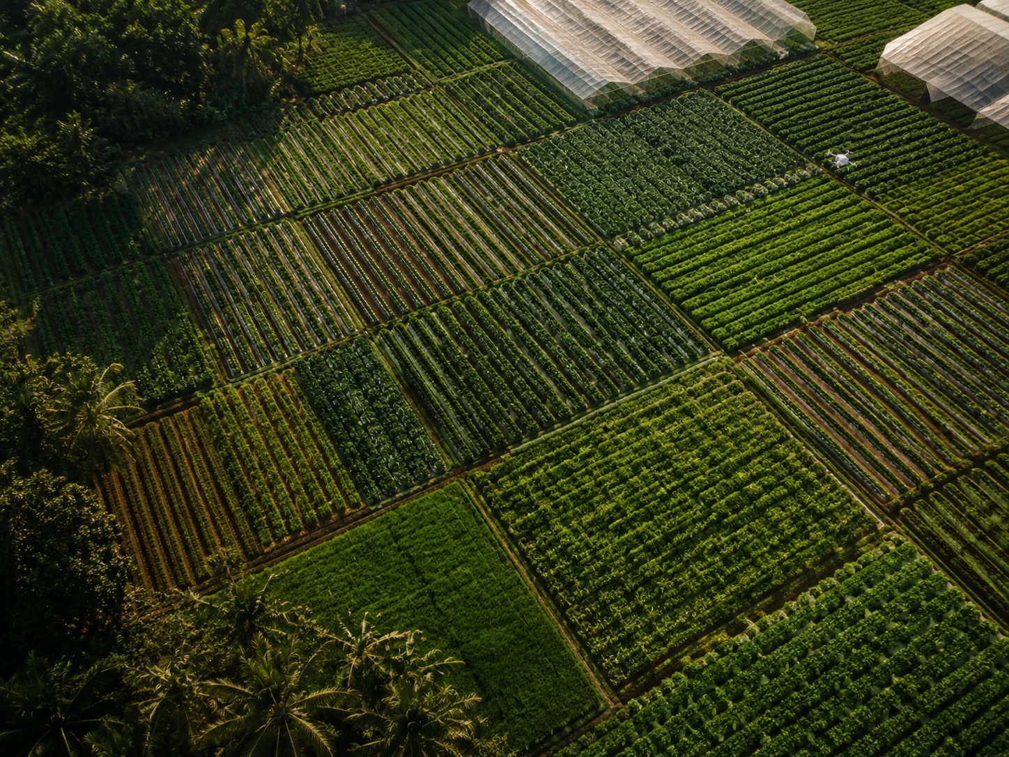 Real Estate for Agriculture