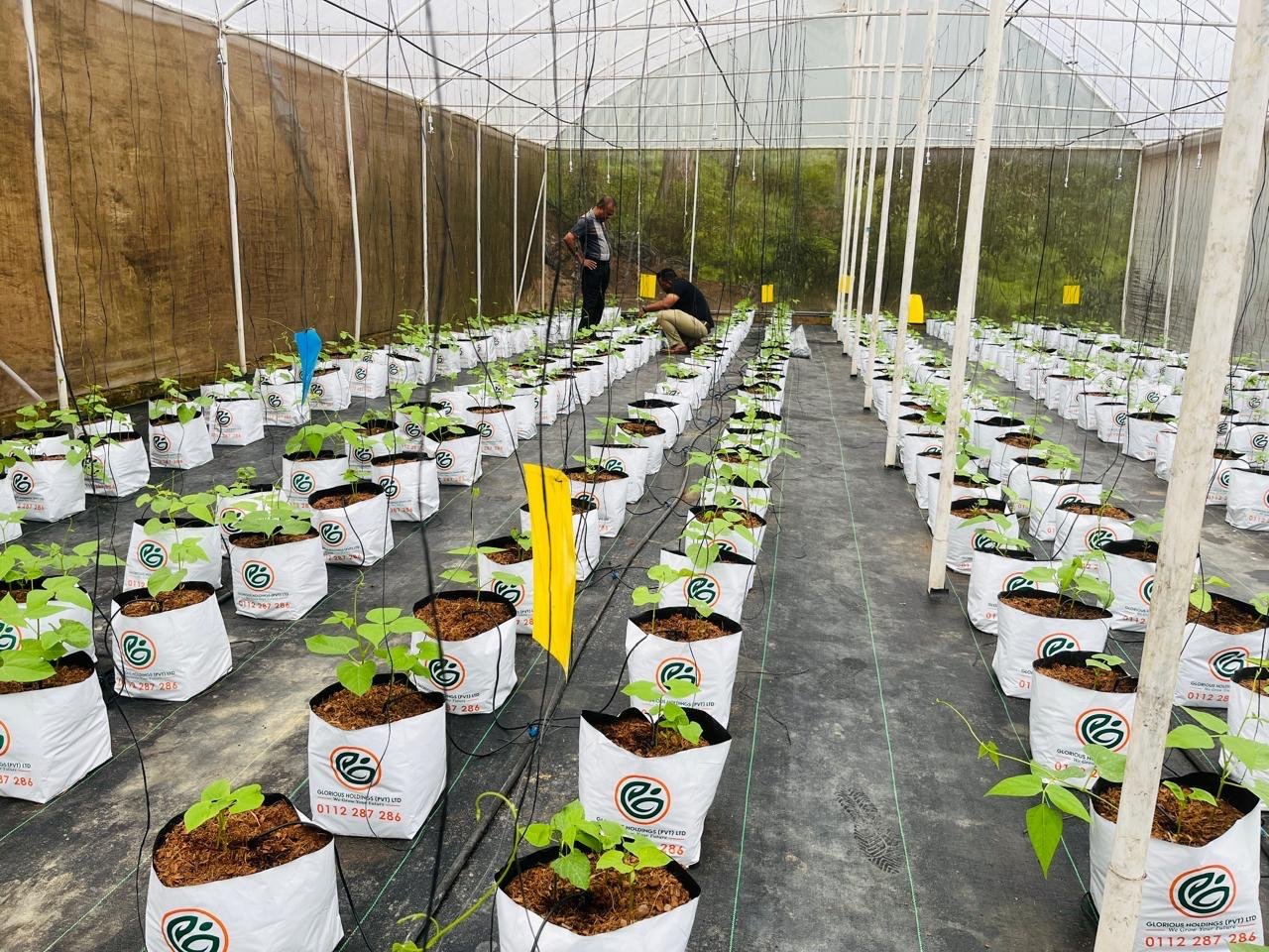 Turnkey Agri Projects