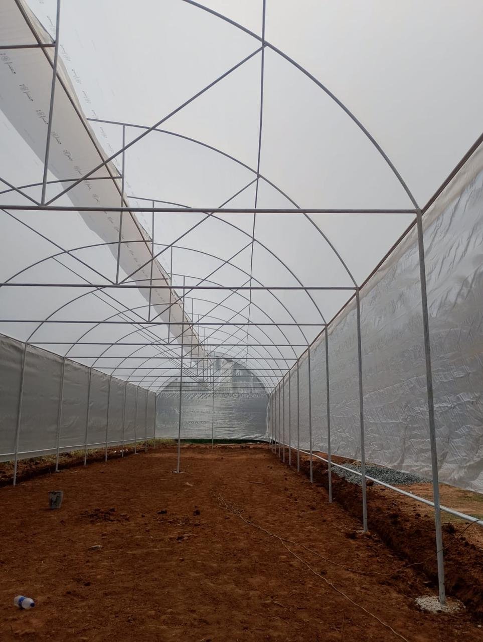 Seed Production