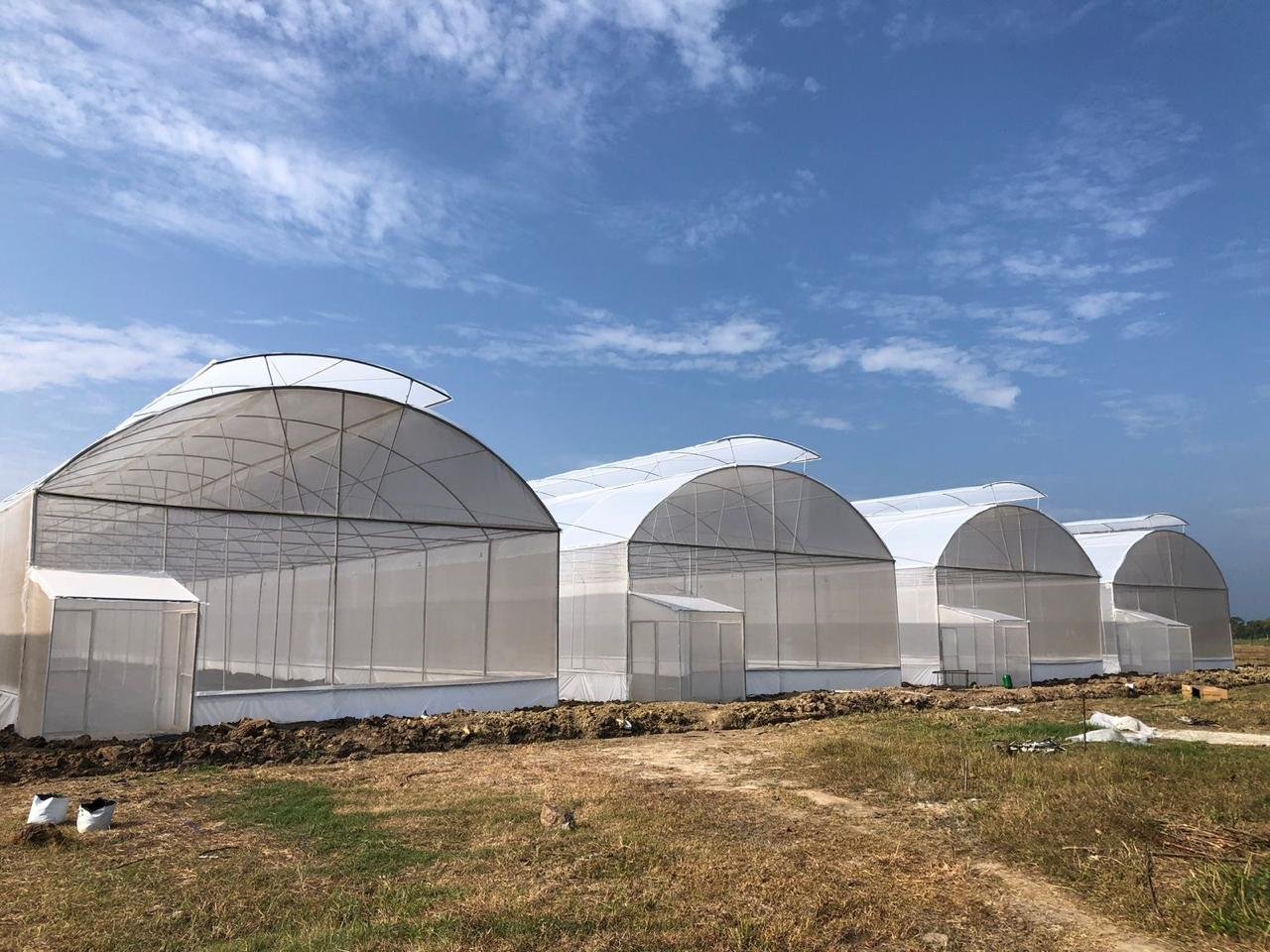 Greenhouse Projects