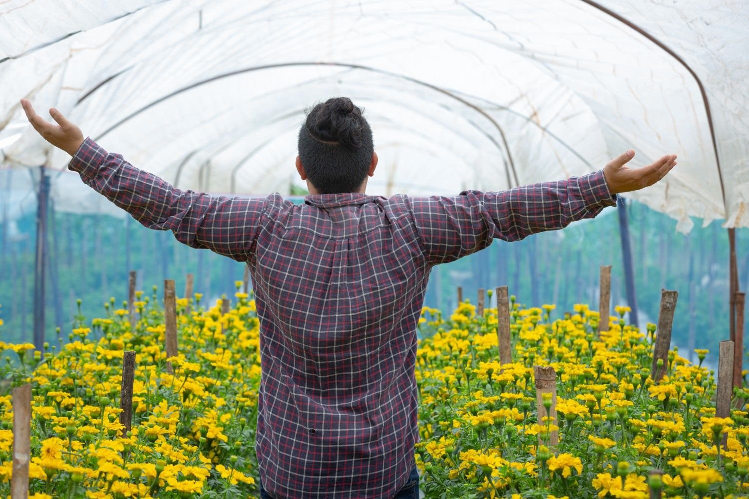 Greenhouse flower and vegetable cultivation by Glorious Holdings